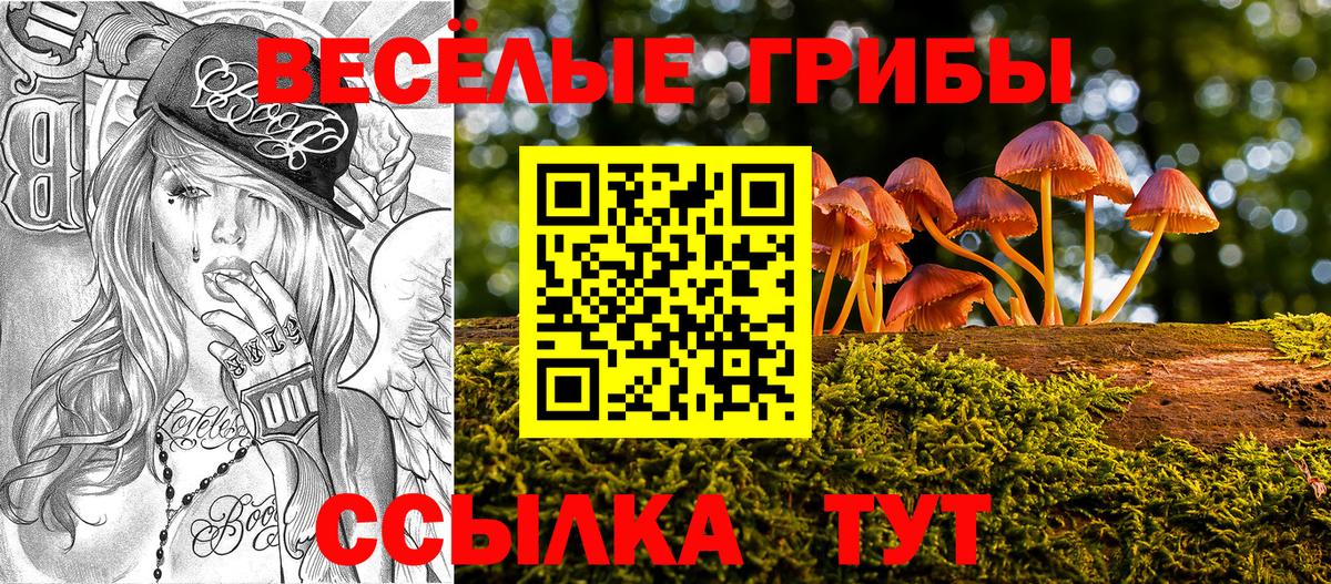 Галлюциногенные грибы GOLDEN TEACHER  сколько стоит  Нововоронеж  Вход с VPN 